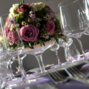 villa polfranceschi - servizio catering Noi da Voi sas